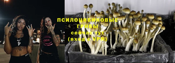 каннабис Алексин